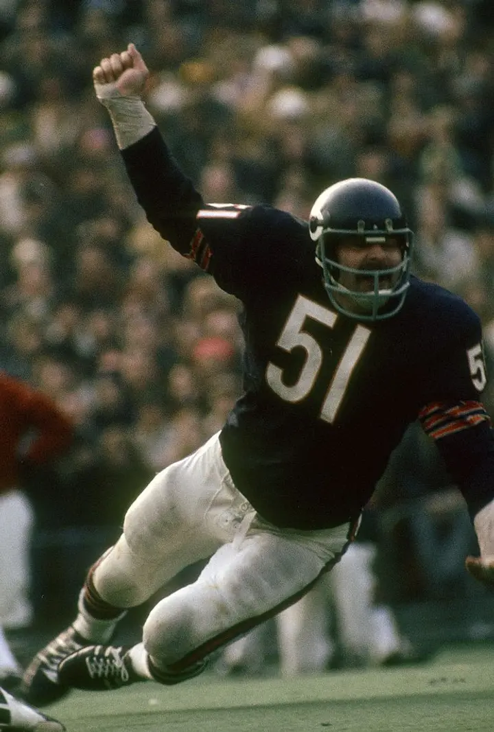 Middle Linebacker Mike Singletary of the Chicago Bears in action News  Photo - Getty Images