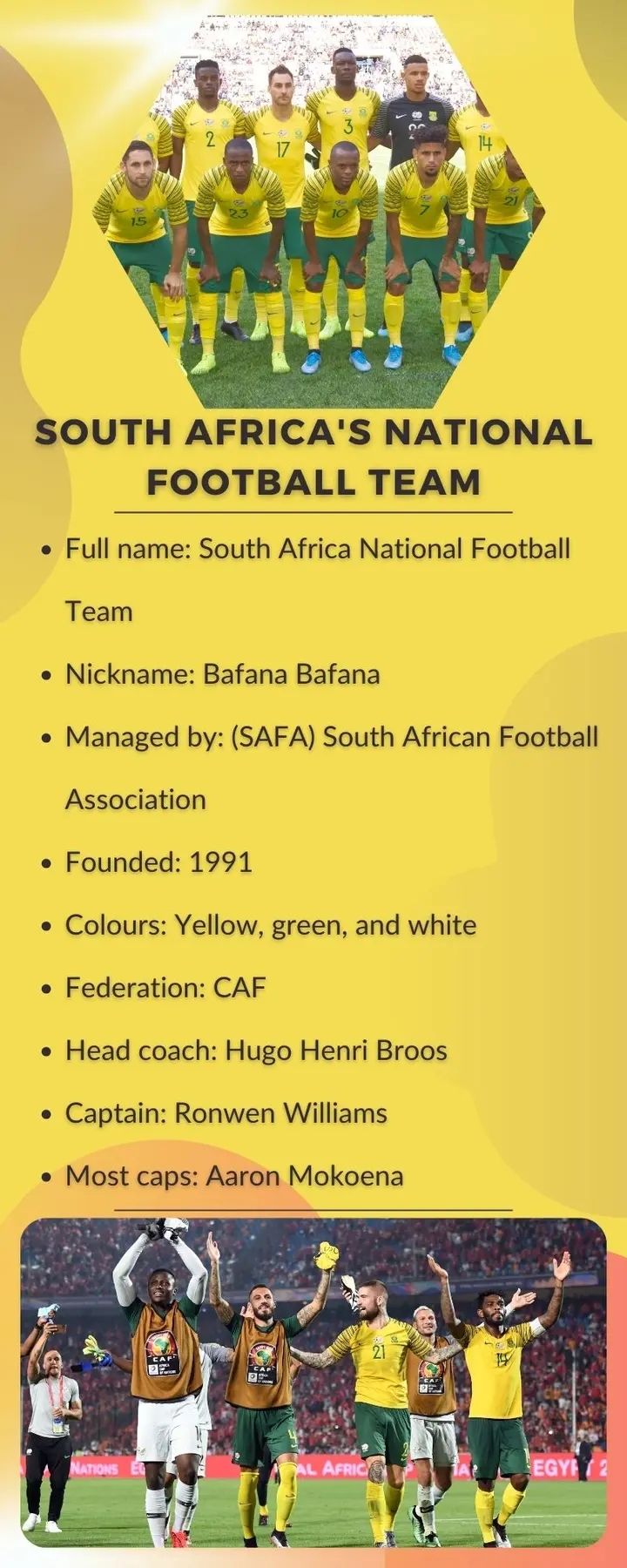 South Africa's national football team